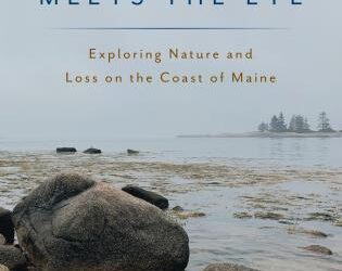 More Than Meets The Eye: Exploring Nature and Loss on the Coast of Maine
