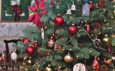 Every Christmas tree tells a story