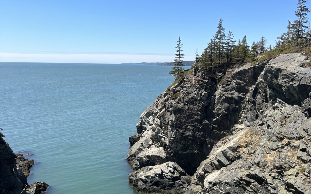 Discovering my own slice of rural America