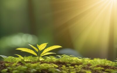 We can make a difference